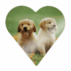 Print-In Plater - Andre former