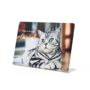 Print-In Plater - Flexi